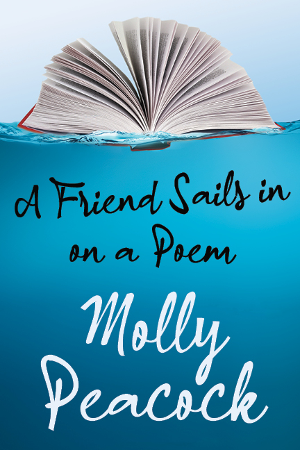 Book Cover Image of “A Friend Sails in on a Poem: Essays on Friendship, Freedom and Poetic Form”