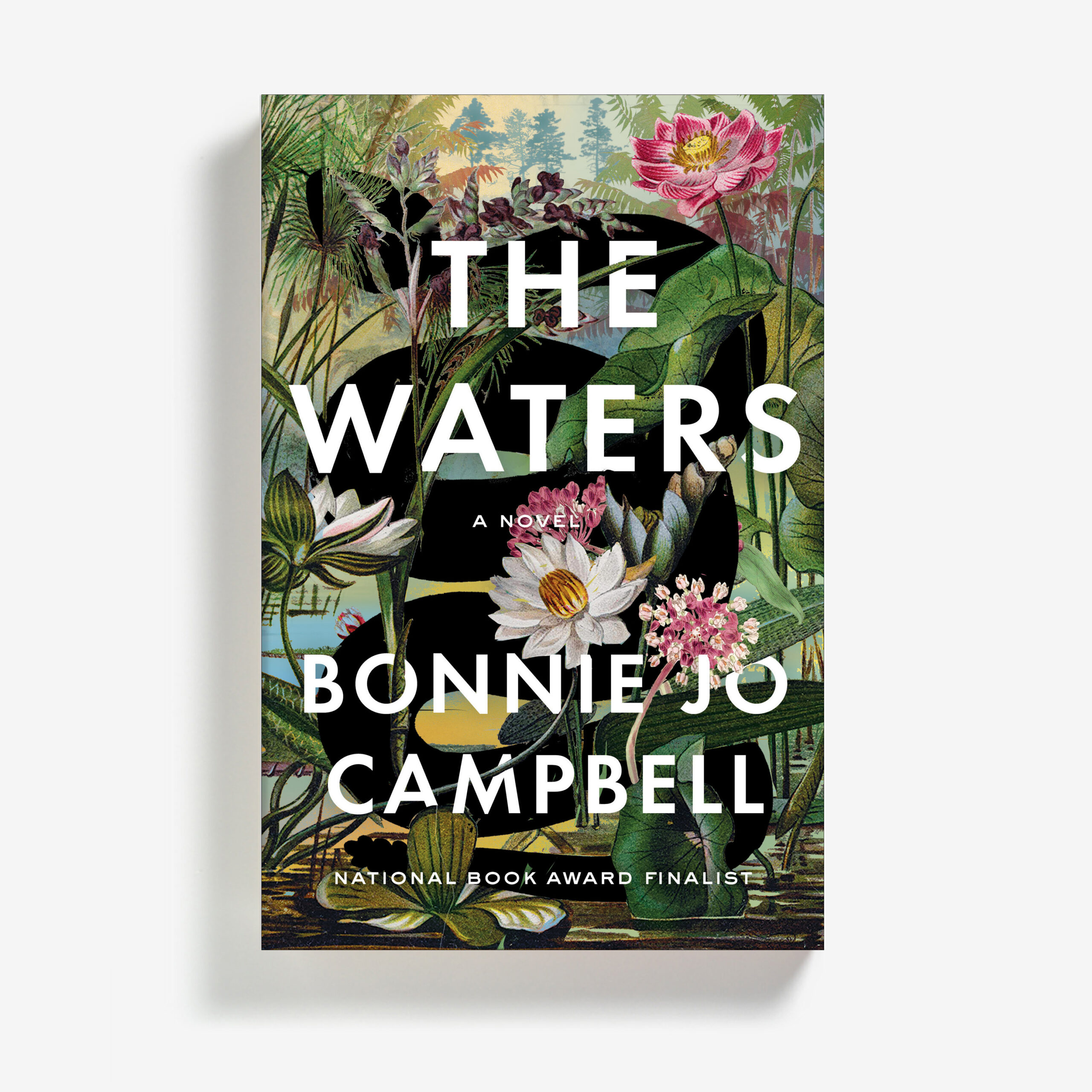 Book Cover Image of “The Waters”