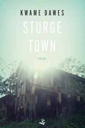 Book Cover Image of “Sturge Town”
