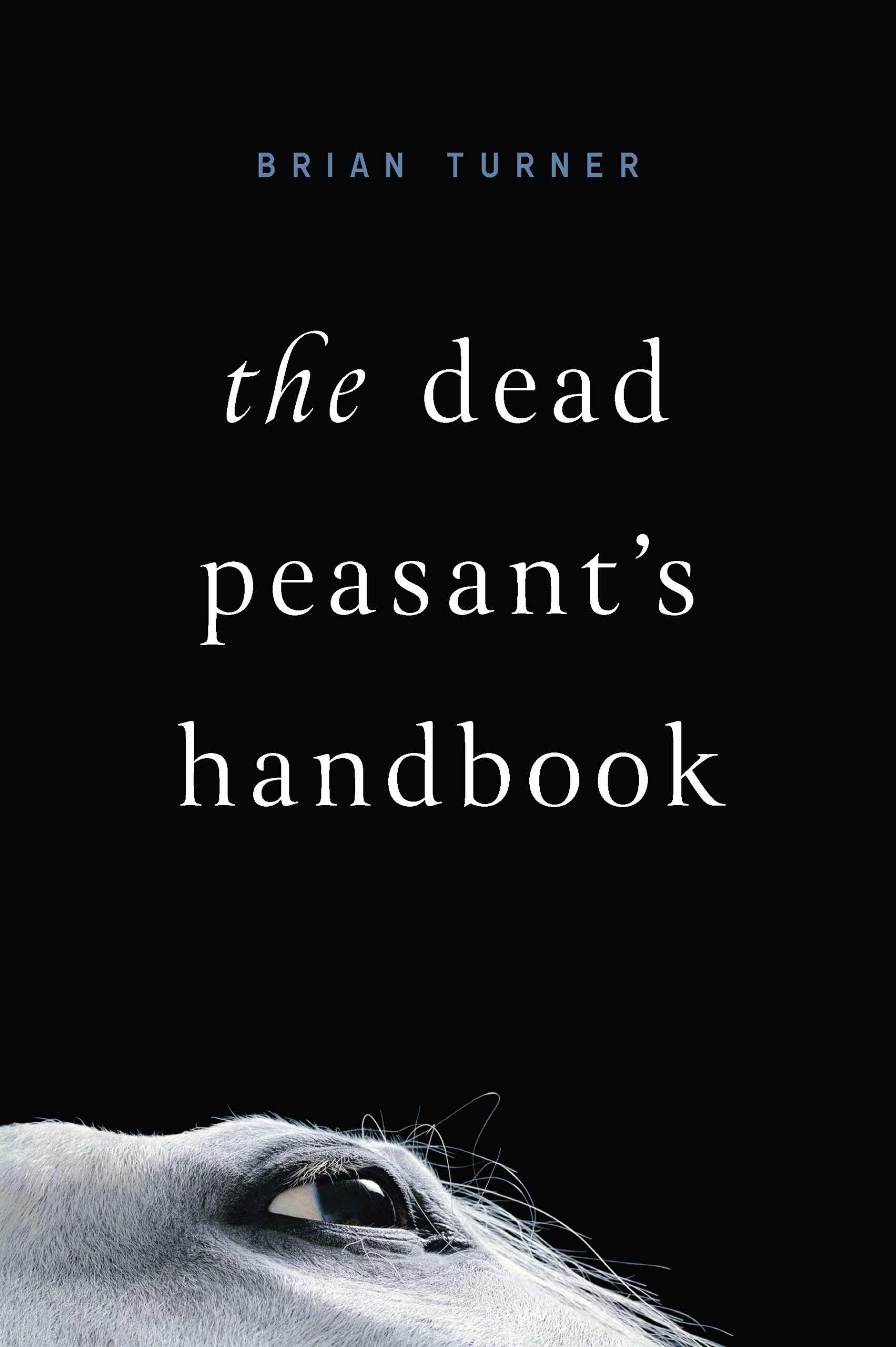 Book Cover Image of “The Dead Peasant’s Handbook”