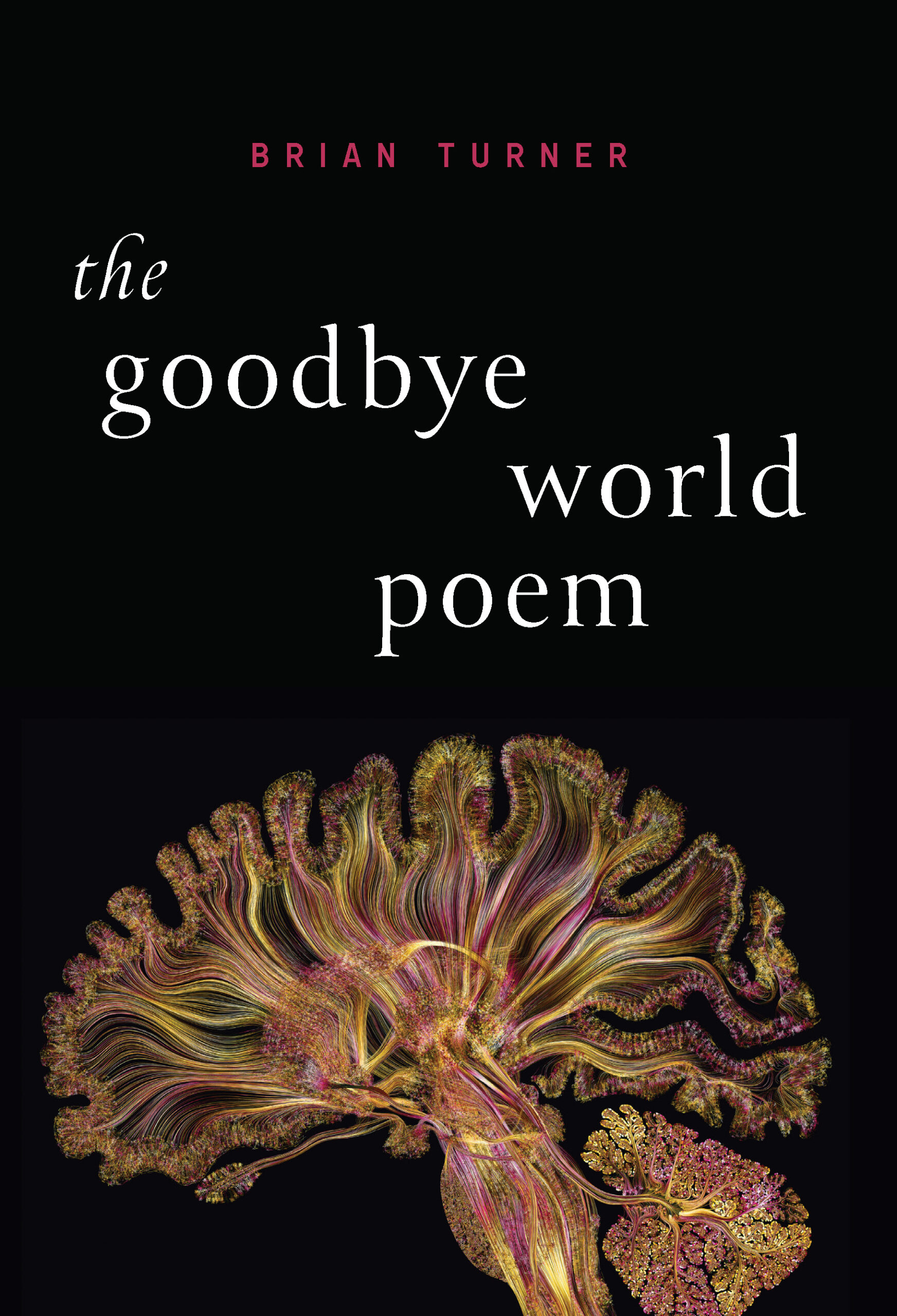 Book Cover Image of “The Goodbye World Poem”
