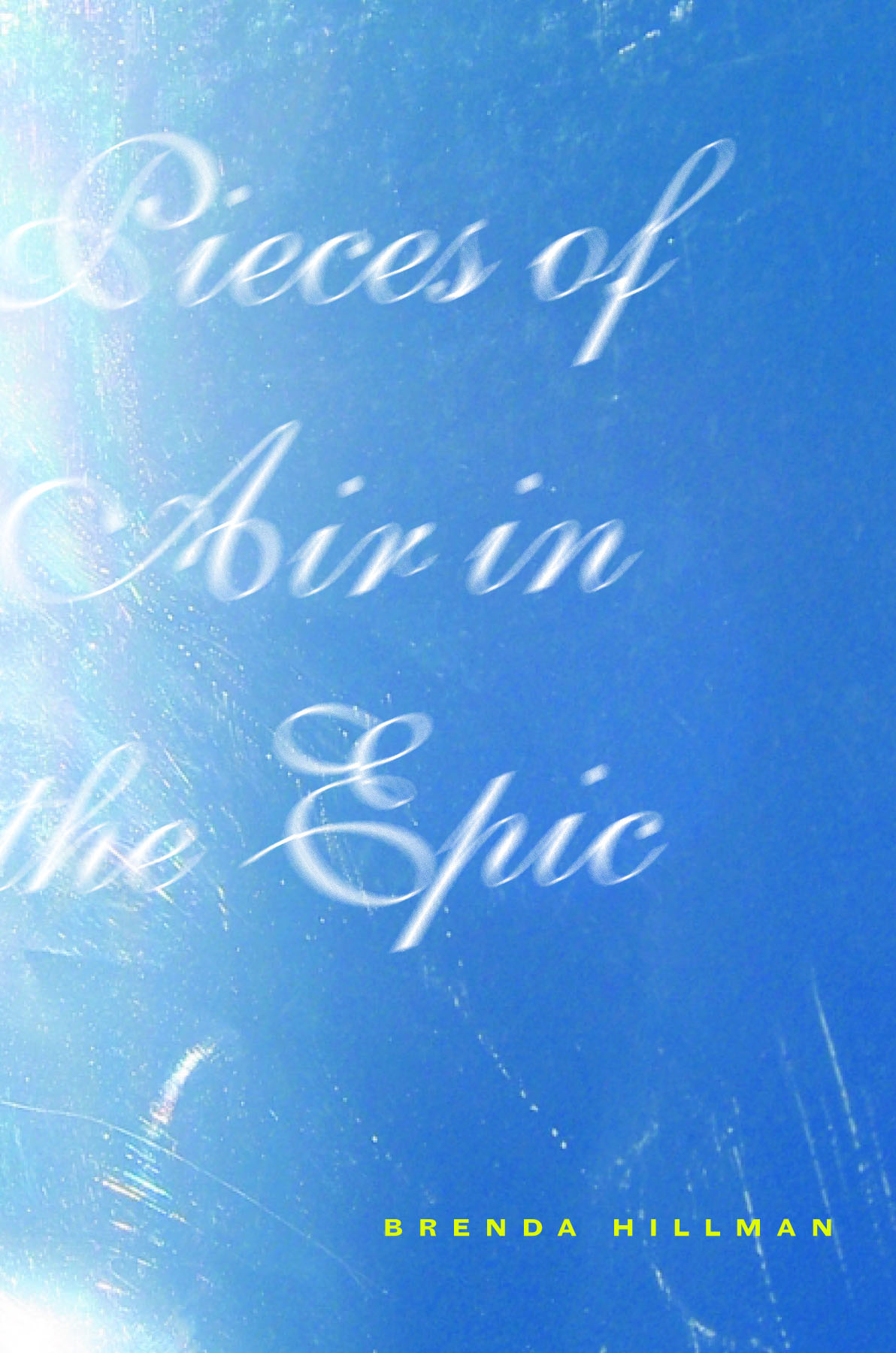 Pieces of Air in the Epic by Brenda Hillman