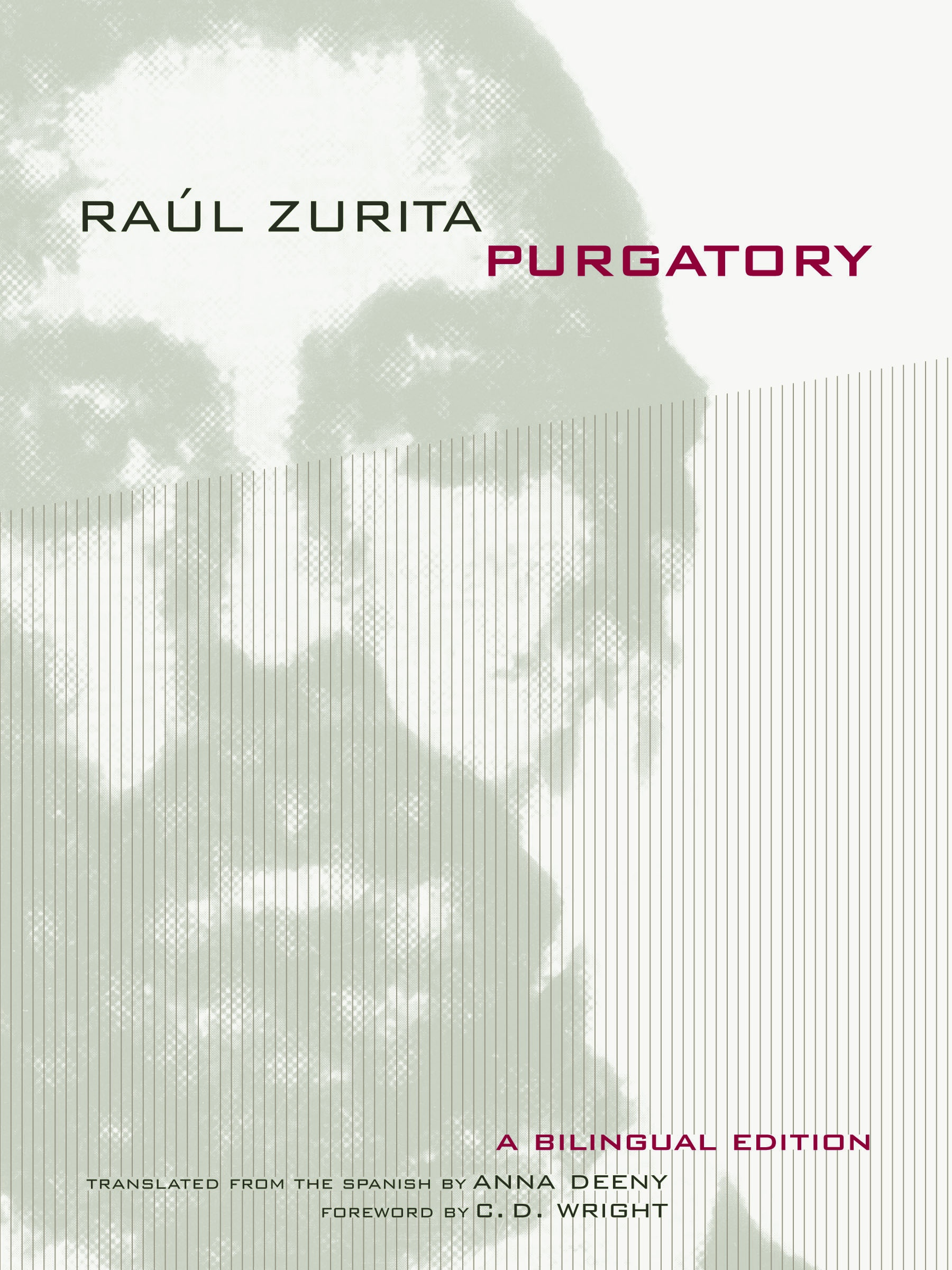 Purgatory by Raúl Zurita