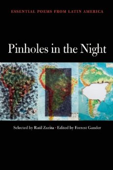 Pinholes in the Night by Raúl Zurita