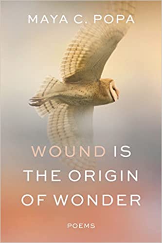 Book Cover Image of “Wound Is the Origin of Wonder”