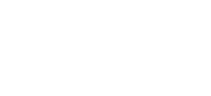 Blue Flower Arts Logo