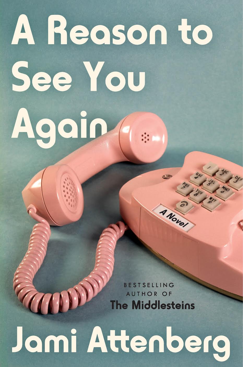 Book Cover Image of “A Reason To See You Again”