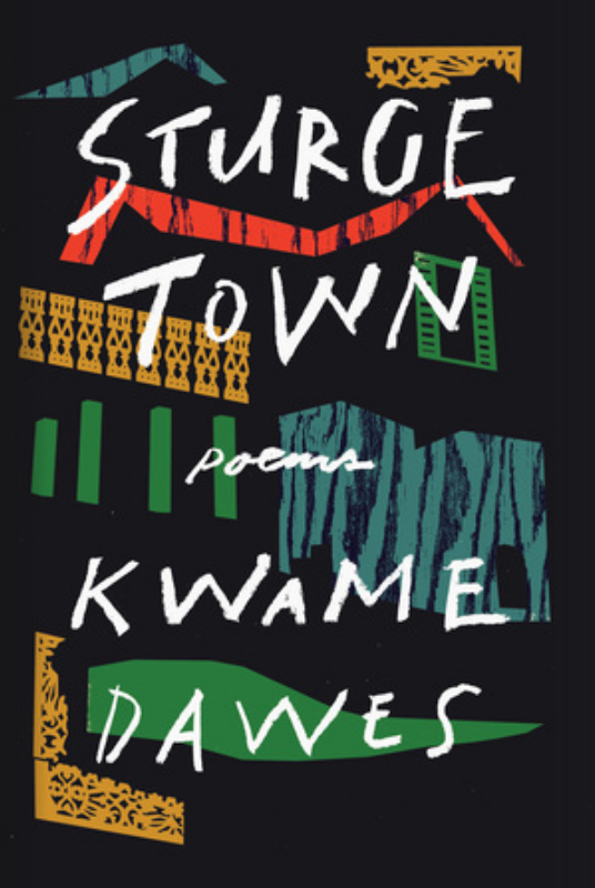 Book Cover Image of “Sturge Town”