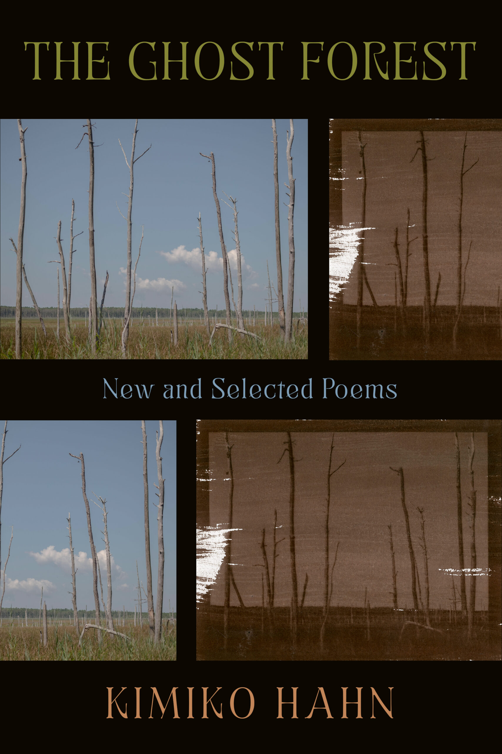 Book Cover Image of “The Ghost Forest: New and Selected Poems”