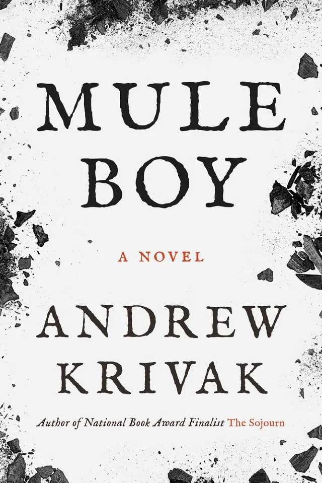 Book Cover Image of “Mule Boy”