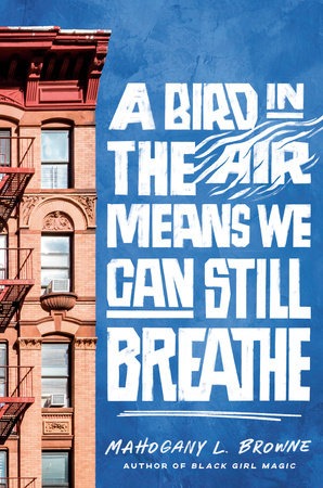 Book Cover Image of “A Bird in the Air Means We Can Still Breathe”