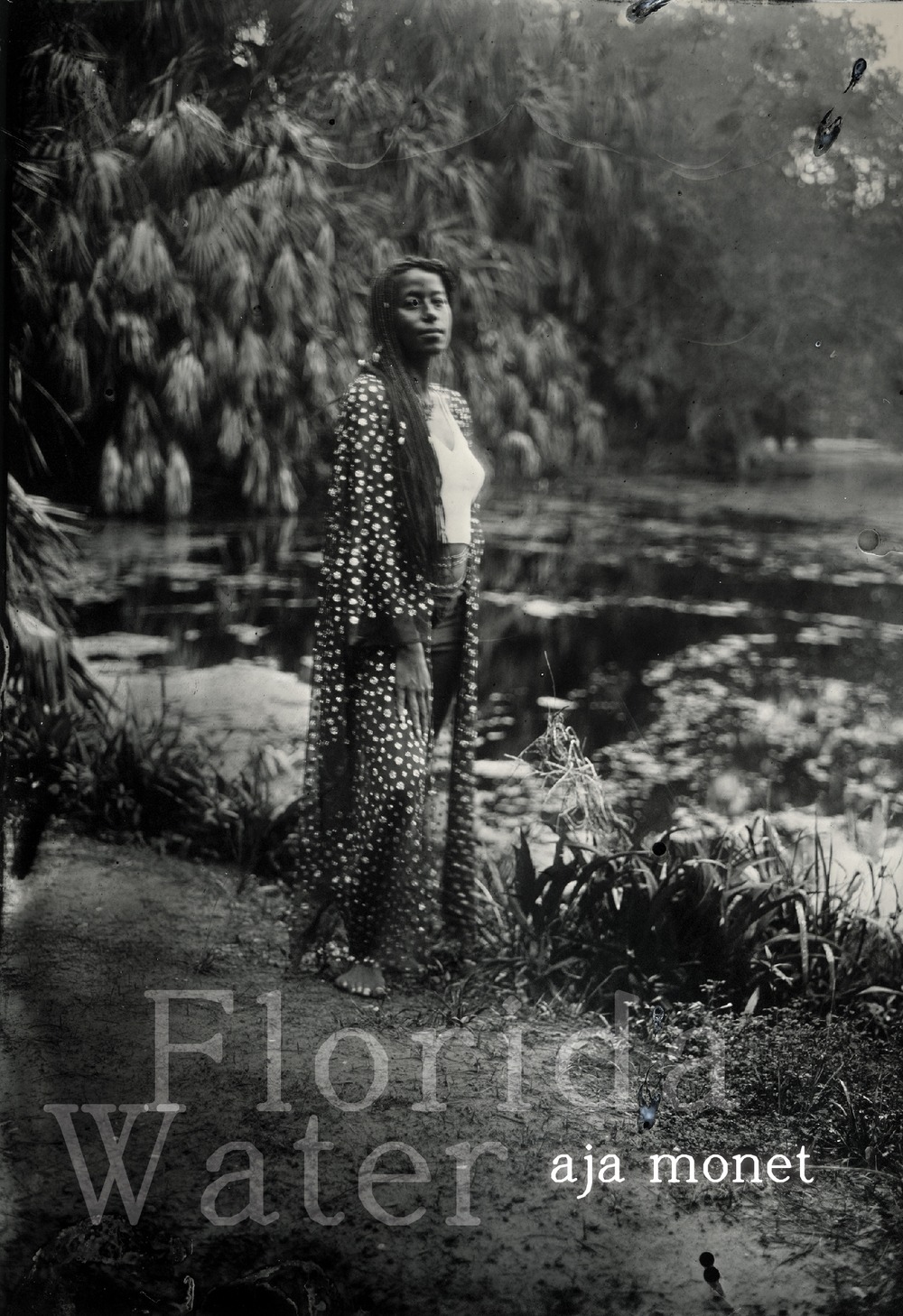 Book Cover Image of “Florida Water”